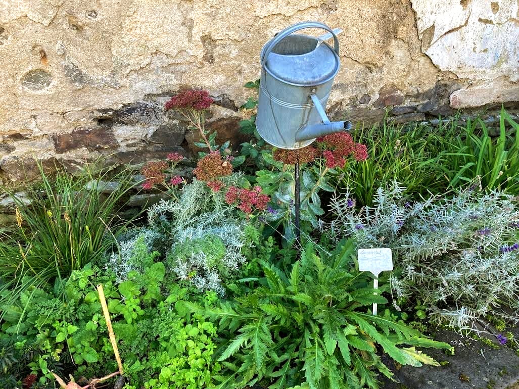 Garten Herlet Eine verwunschene RuheOase mitten in Koblenz