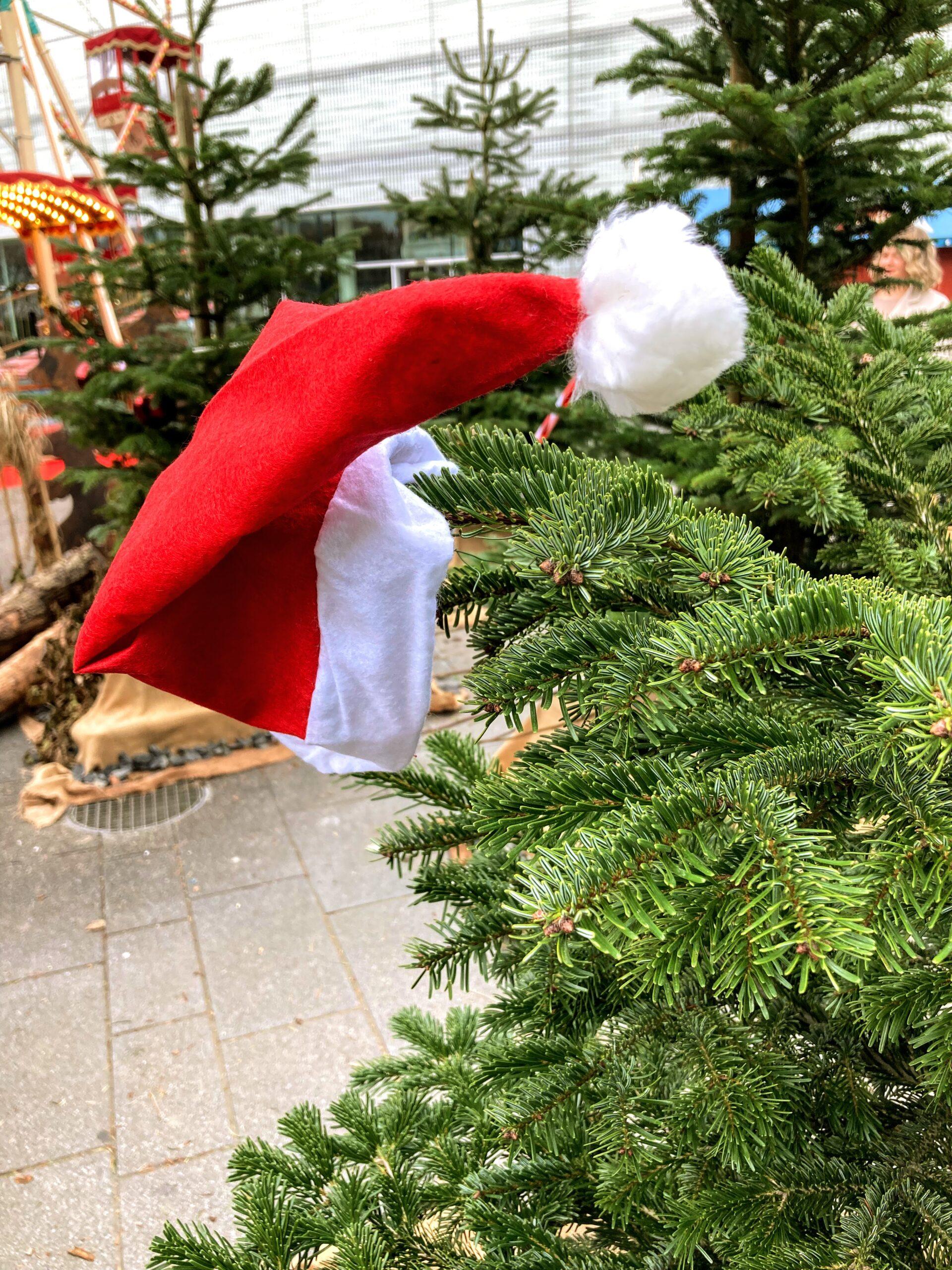 Wie geht es weiter bei koblenz-tipps.de